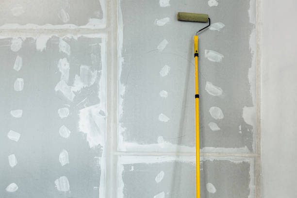 Reliable Cuero, TX Dry wall and painting Solutions